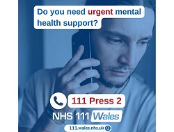 NHS 111 Logo